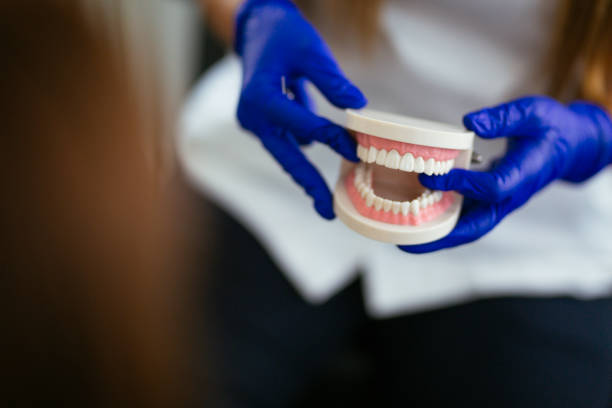Professional  Holistic Dental Services in Jeffersonville, KY